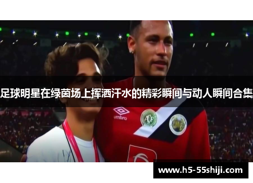 足球明星在绿茵场上挥洒汗水的精彩瞬间与动人瞬间合集