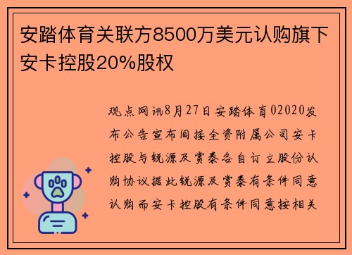安踏体育关联方8500万美元认购旗下安卡控股20%股权 安踏体育关联方8500万美元认购旗下安卡控股20%股权